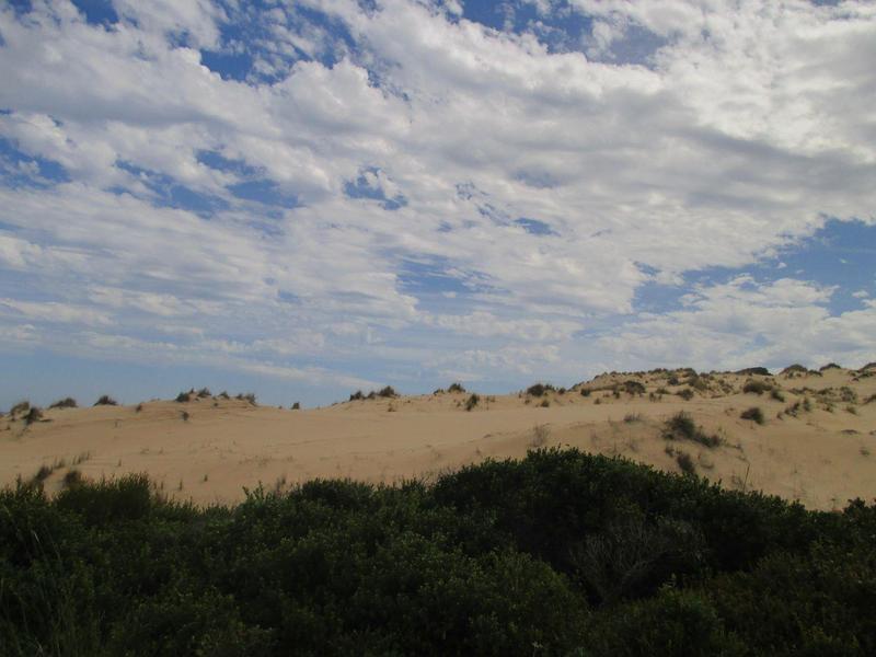 0 Bedroom Property for Sale in Nautilus Bay Western Cape